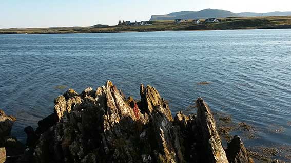 Iona